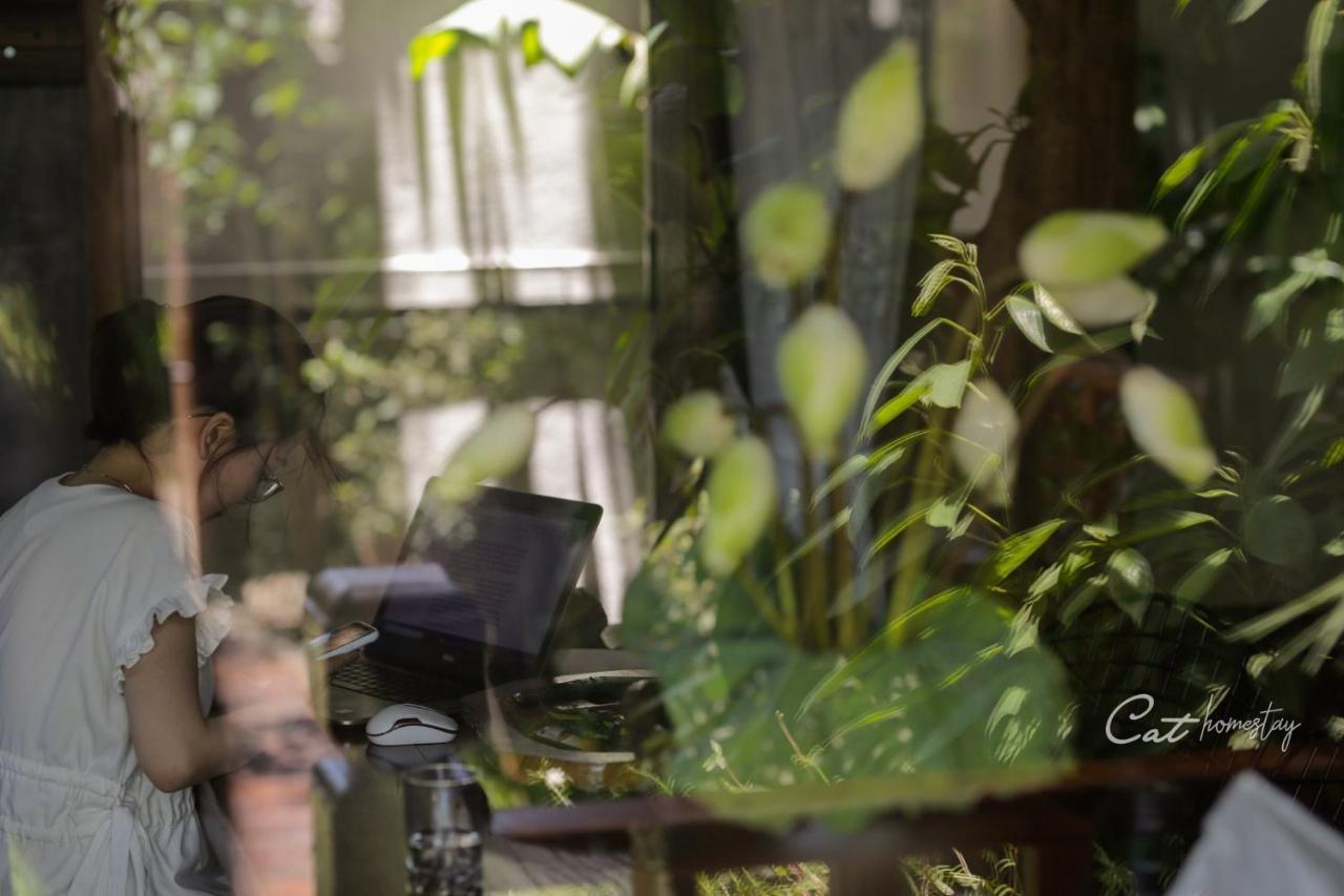 Cat Homestay Hue Dış mekan fotoğraf