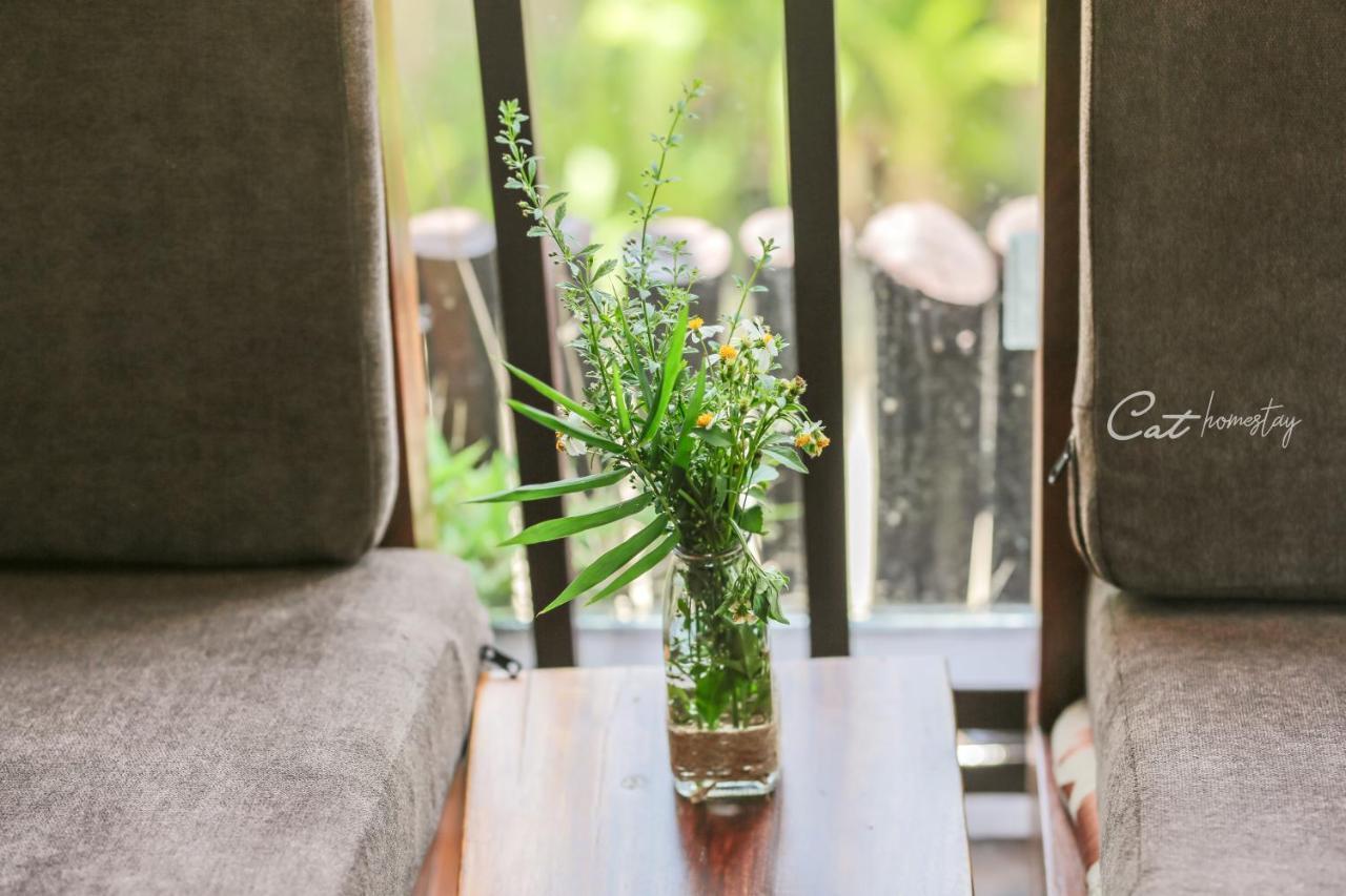 Cat Homestay Hue Dış mekan fotoğraf
