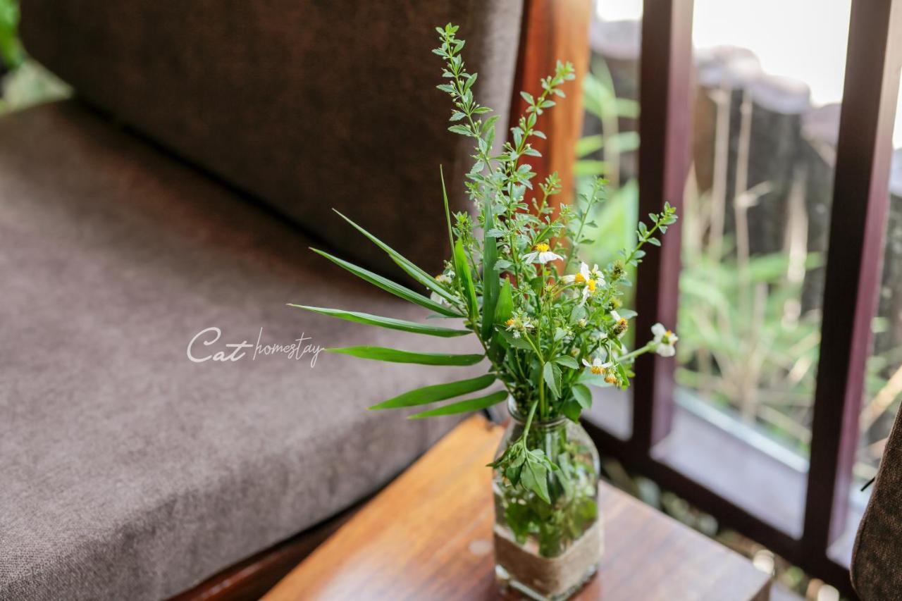 Cat Homestay Hue Dış mekan fotoğraf