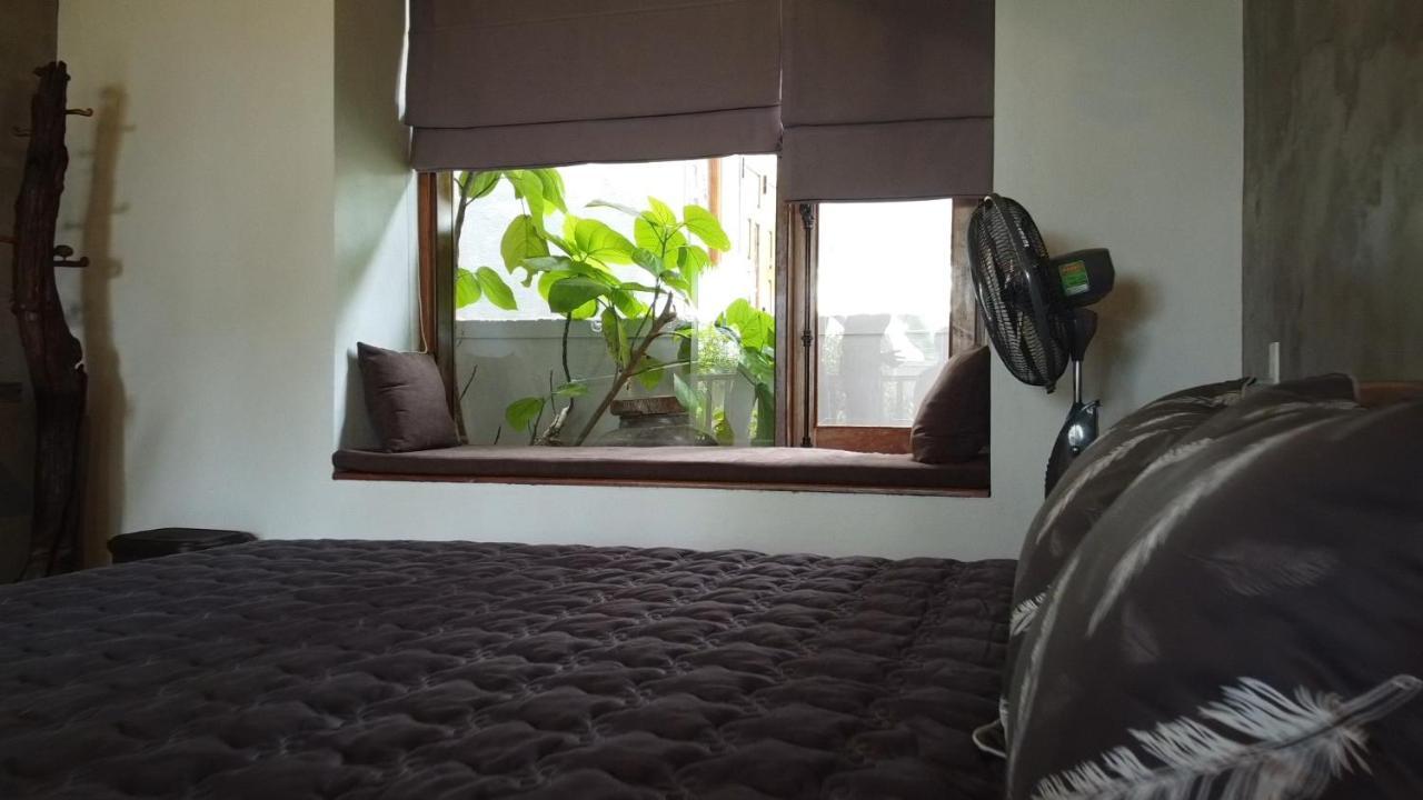 Cat Homestay Hue Dış mekan fotoğraf