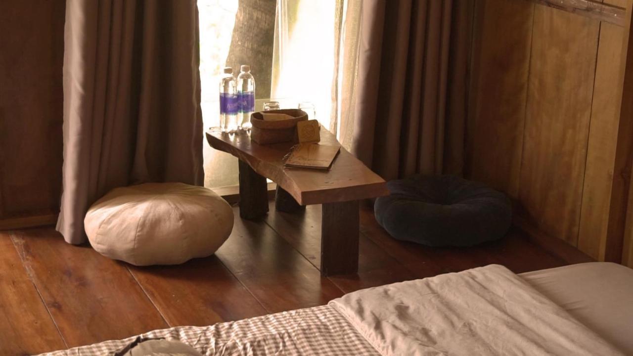 Cat Homestay Hue Dış mekan fotoğraf
