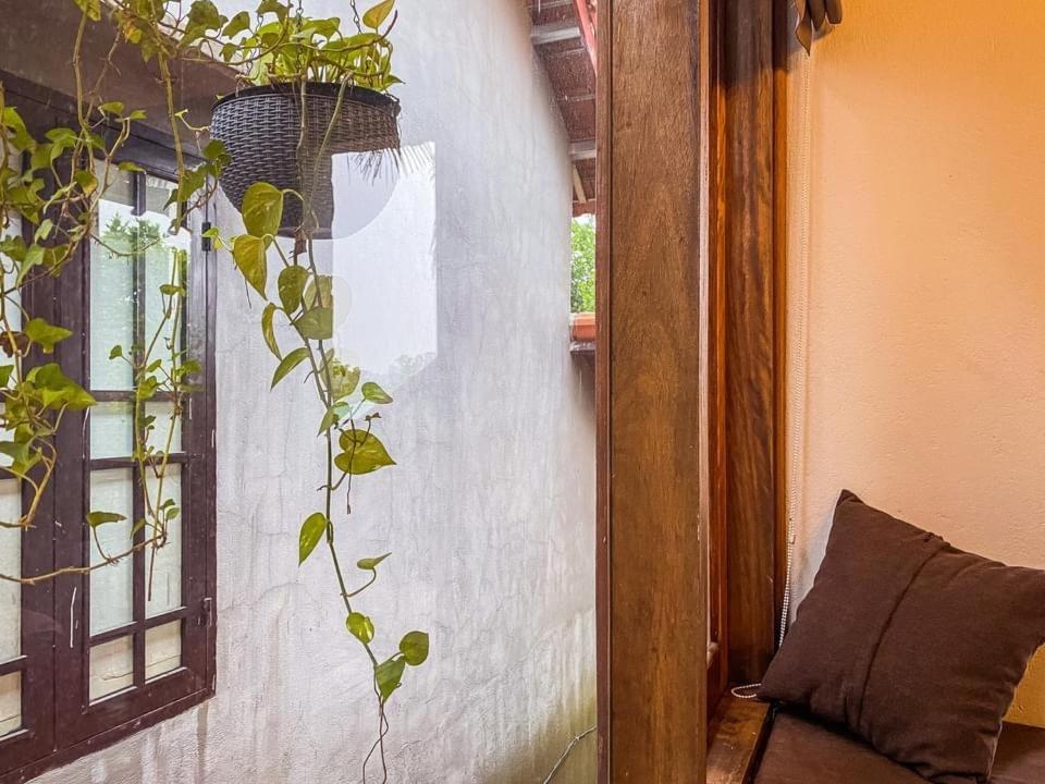 Cat Homestay Hue Dış mekan fotoğraf